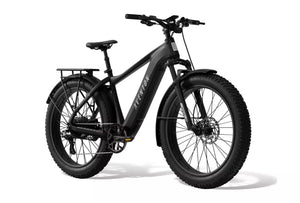 Aventon e-Bikes Aventon Aventure 3 E-Bike - Step Over