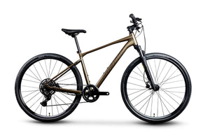Ottawa Bike and Trail, LLC Gravel Adventure Giant Roam 2 Disc