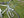 Wald Baskets Wald 1372 Basket